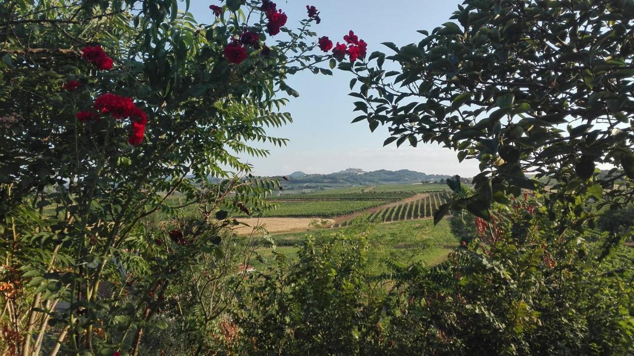 Agriturismo La Chiesina Abbadia di Montepulciano Eksteriør billede