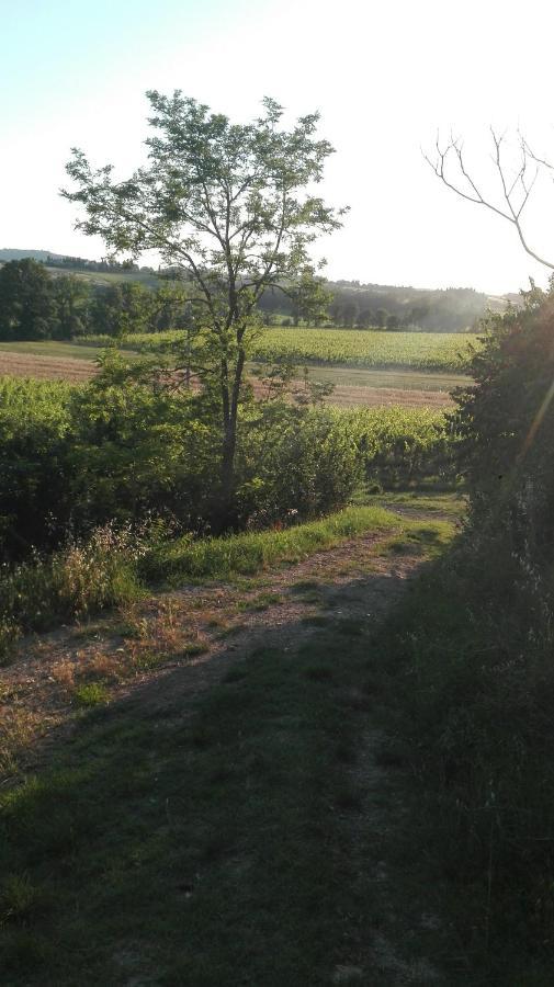 Agriturismo La Chiesina Abbadia di Montepulciano Eksteriør billede