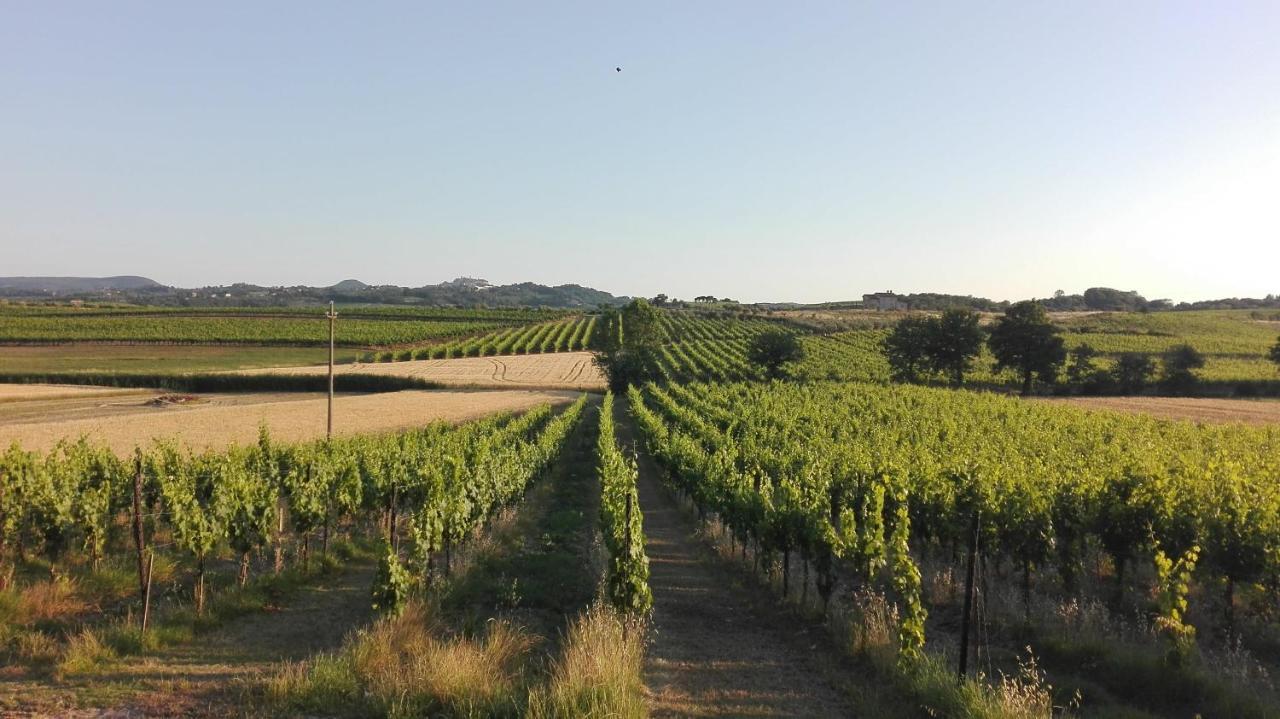 Agriturismo La Chiesina Abbadia di Montepulciano Eksteriør billede